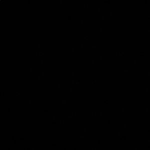 Meet your Posher, Ava